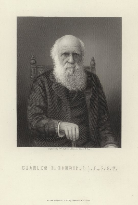 Charles R. Darwin - English School