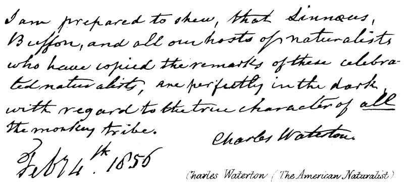 Charles Waterton (Le Naturaliste Américain) - English School
