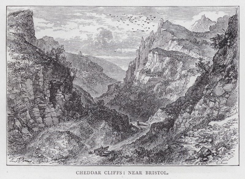 Falaises de Cheddar, près de Bristol - English School