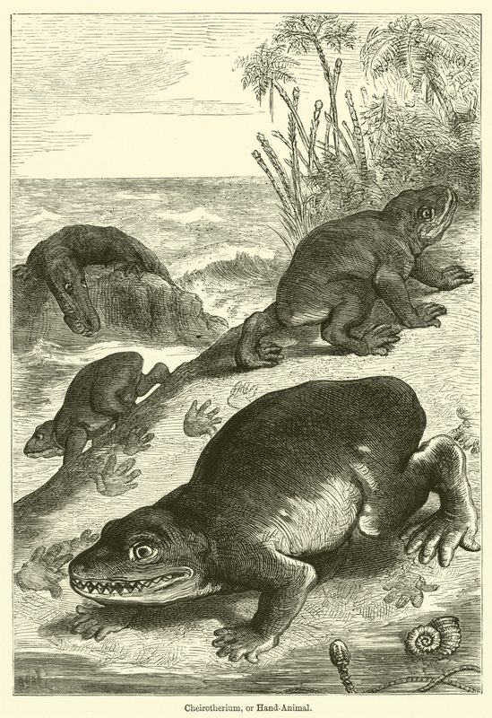 Cheirotherium, ou animal à main - English School