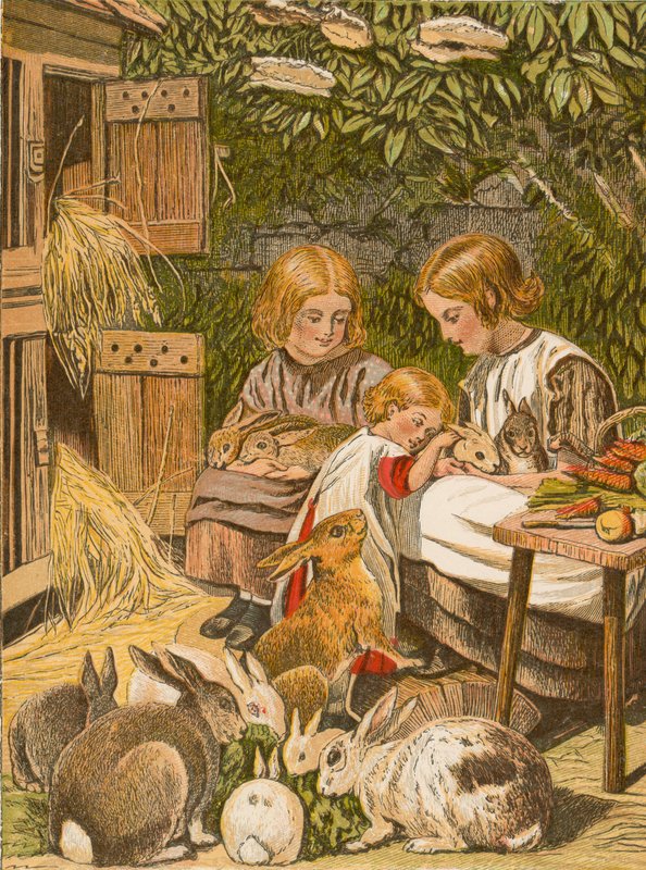 Enfants avec leurs lapins de compagnie - English School