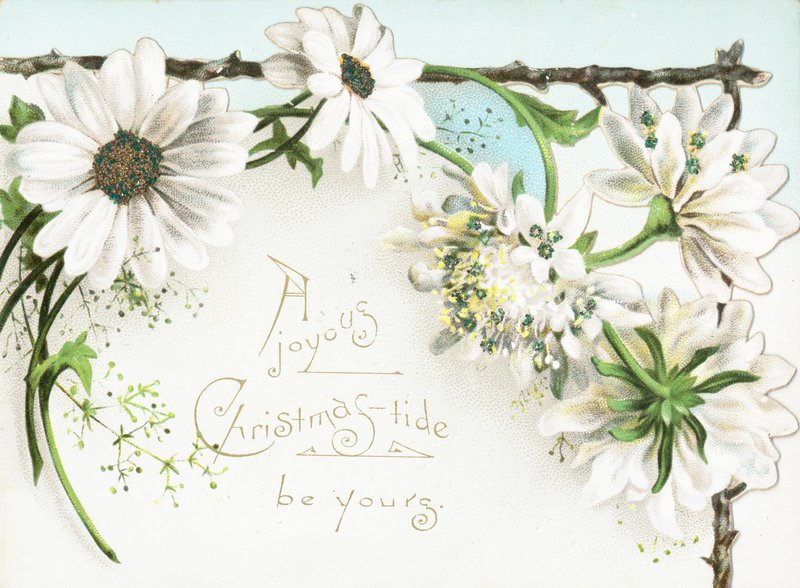 Fleurs de Noël, carte de Noël - English School