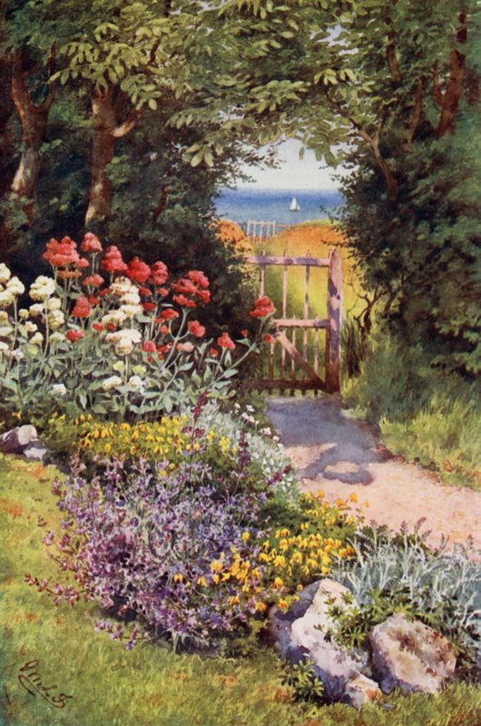 Couleur dans le jardin d