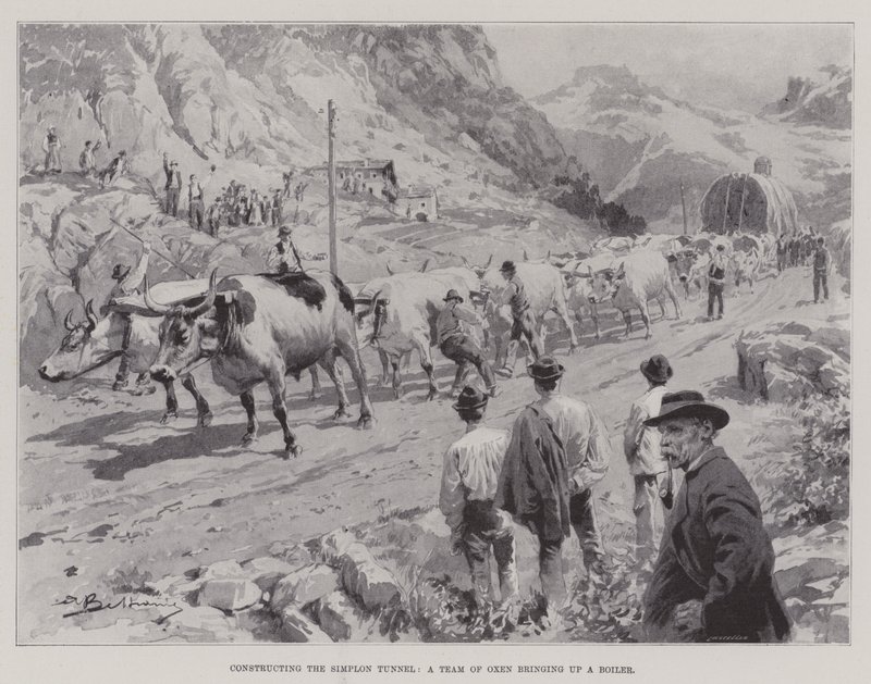 Construction du tunnel du Simplon, une équipe de bœufs apportant une chaudière - English School