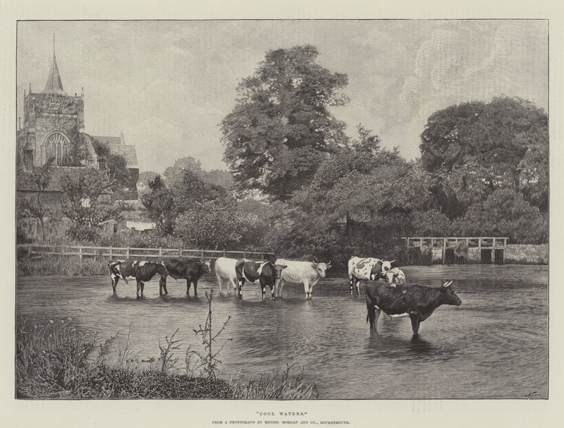 Eaux fraîches - English School