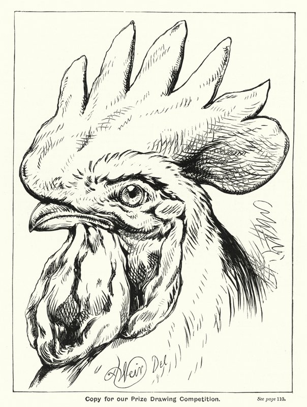 Copie pour notre concours de dessin primé - English School