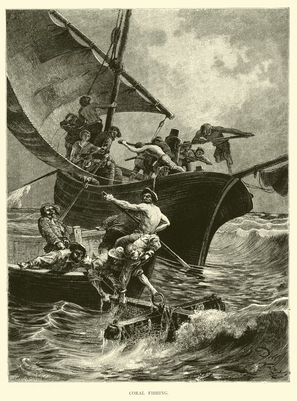 Pêche au corail - English School