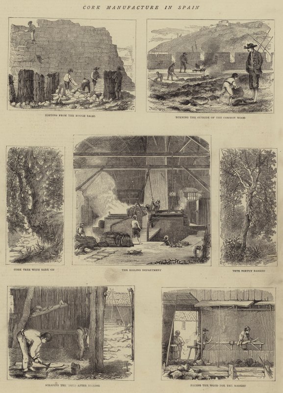 Fabrication de liège en Espagne - English School