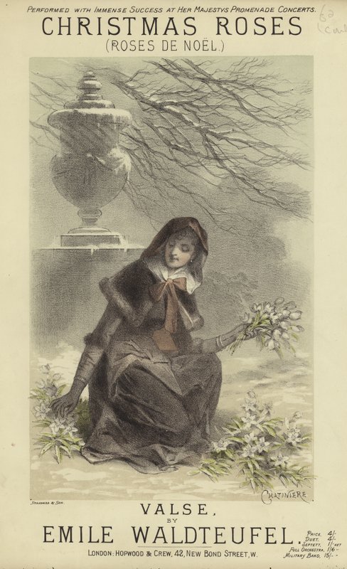 Couverture de Roses de Noël - English School