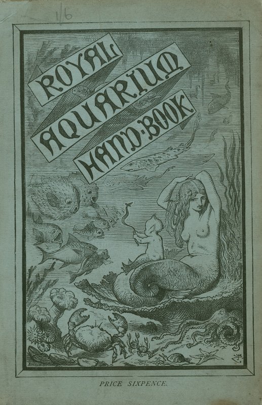 Couverture du Manuel de l