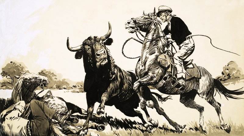 Cowboys dans l