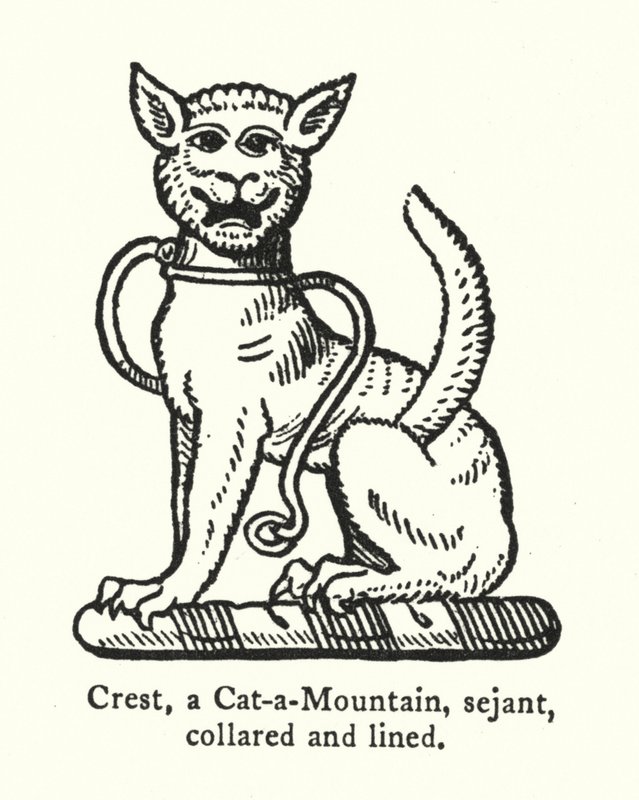 Cimier, un chat sauvage, assis, collier et ligne (gravure) - English School