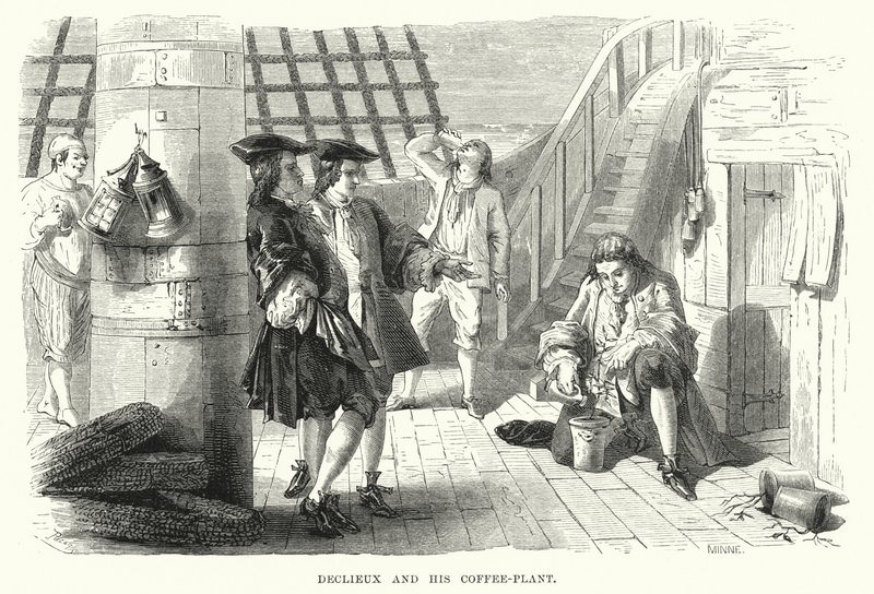 Declieux et sa plante de café - English School