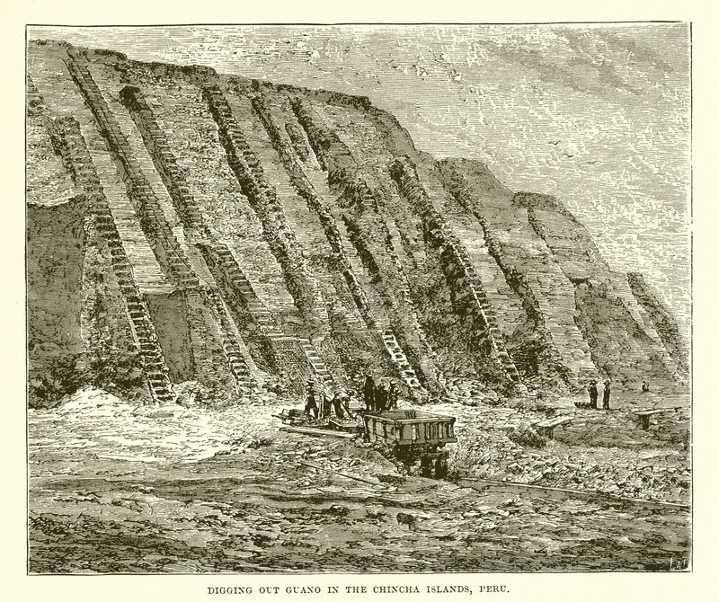 Extraction de guano dans les îles Chincha, Pérou - English School