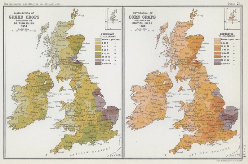 Répartition des cultures vertes, répartition des cultures céréalières - English School