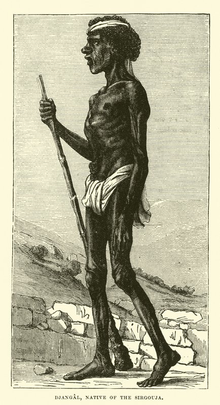 Djangal, natif du Sirgouja - English School