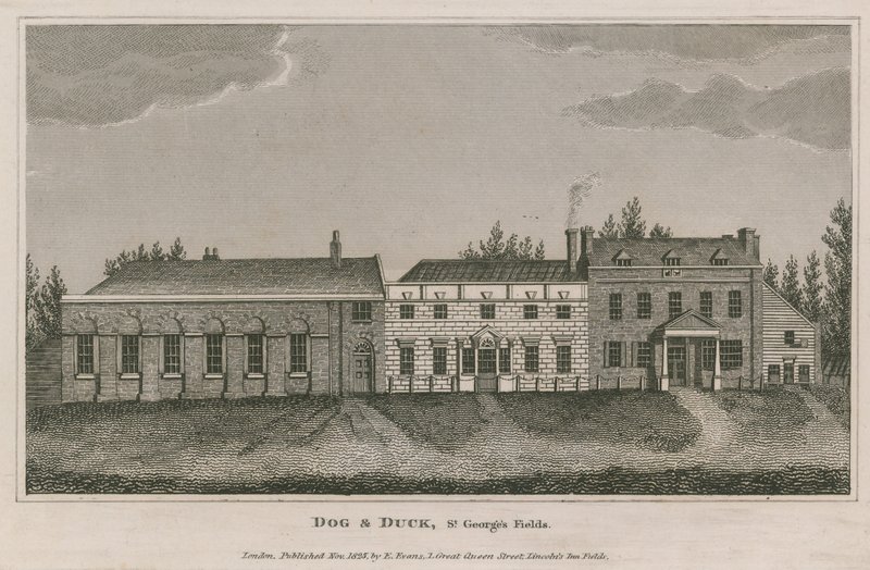Chien et canard, St Georges Fields, Lambeth - English School