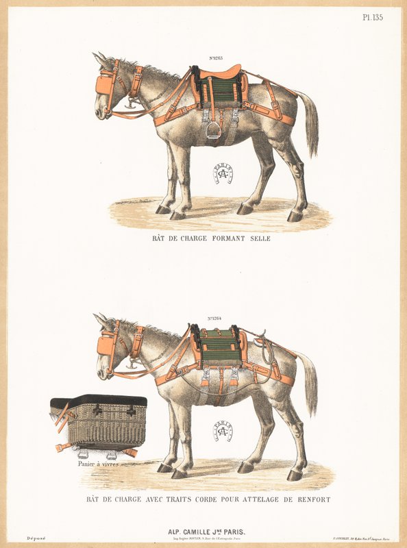 Ânes portant des selles - English School