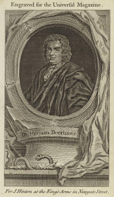 Dr Herman Boerhaave - English School