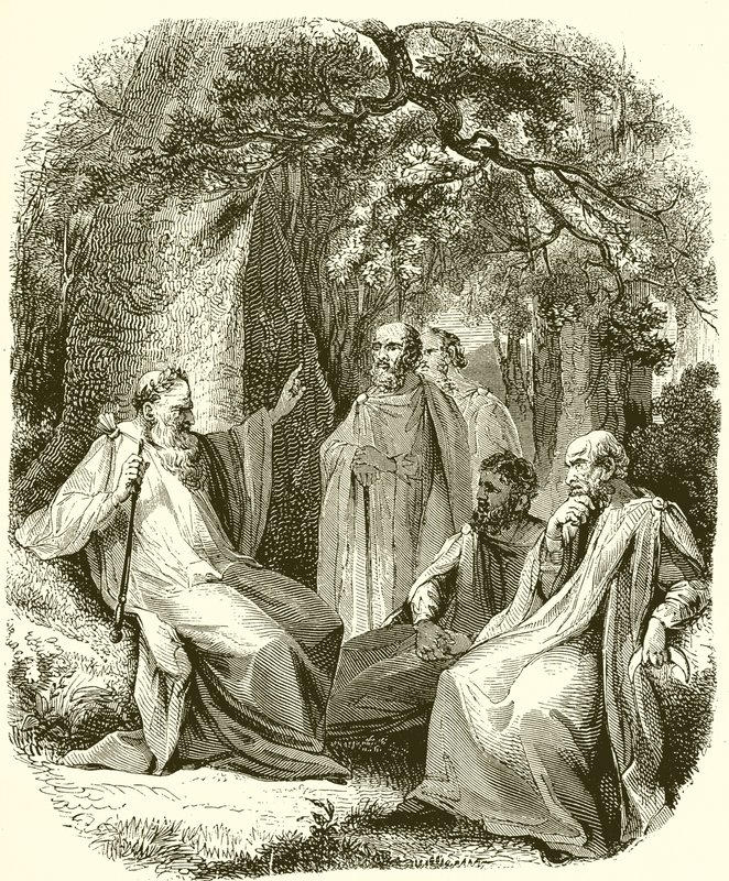 Druides dans le bosquet sacré - English School