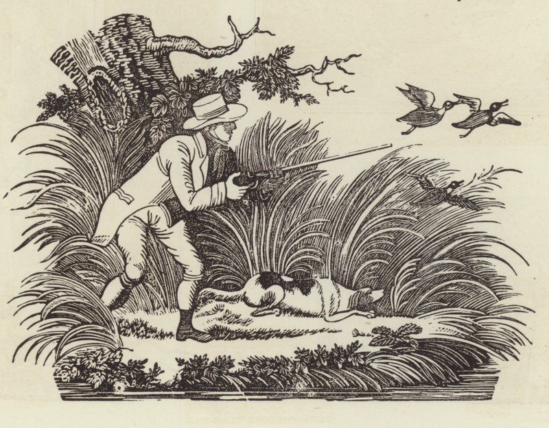 Chasse au canard - English School