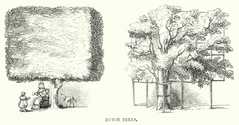 Arbres hollandais (gravure) - English School