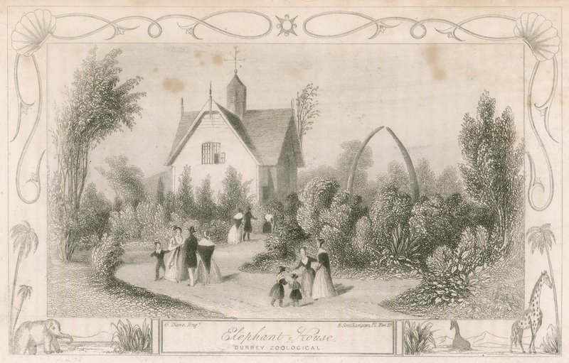 Maison des éléphants aux Surrey Zoological Gardens, Londres - English School