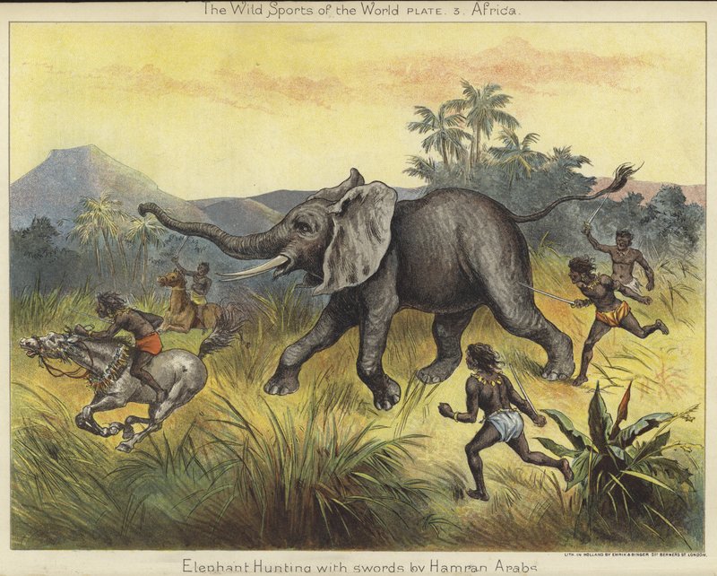 Chasse à l