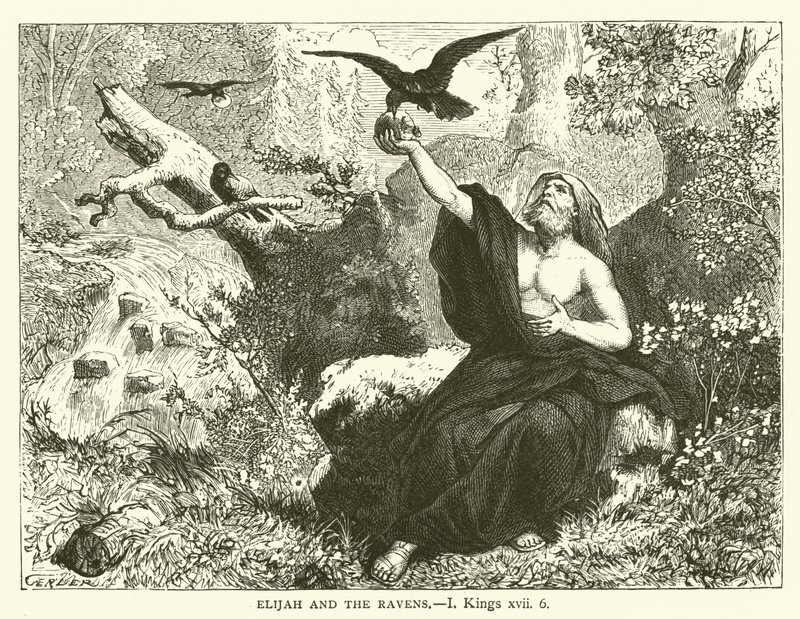 Élie et les Corbeaux, I Rois, xvii, 6 - English School