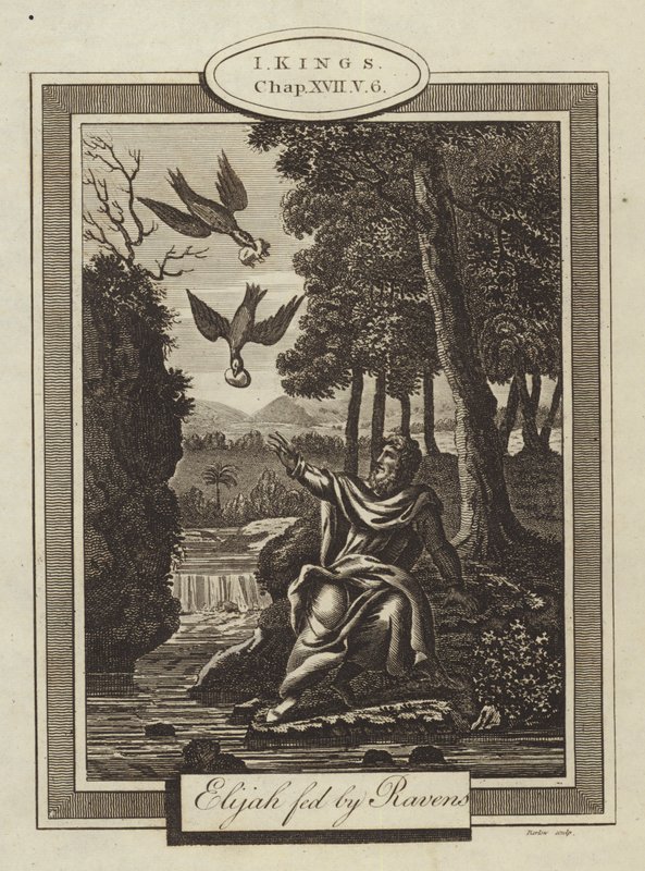 Élie nourri par les corbeaux, I Rois, Chapitre XVII, Verset 6 - English School