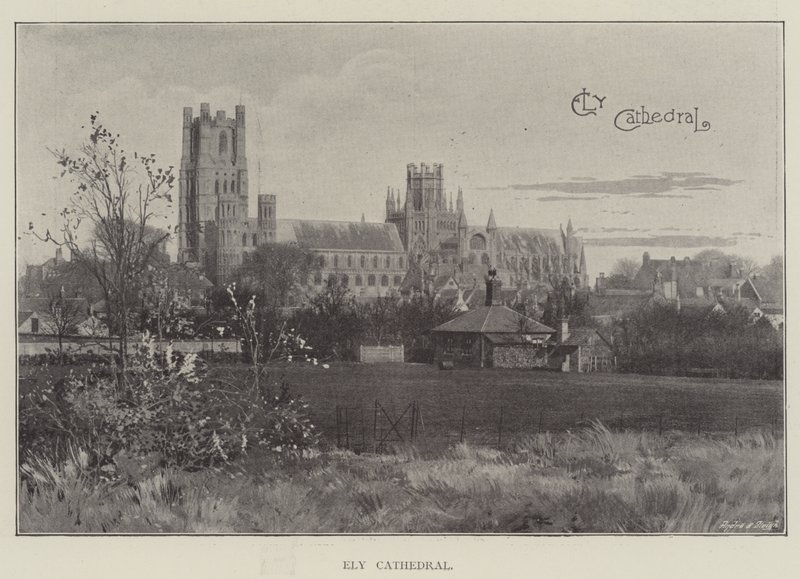 Cathédrale d