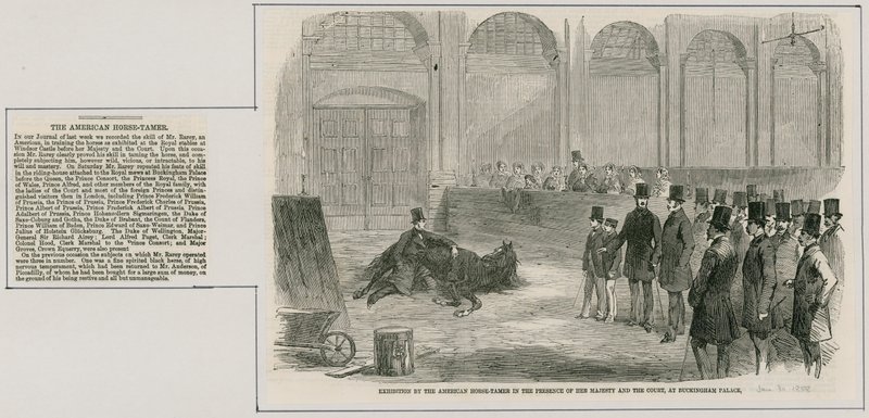 Exposition par le dresseur de chevaux américain en présence de Sa Majesté et de la Cour, à Buckingham Palace - English School