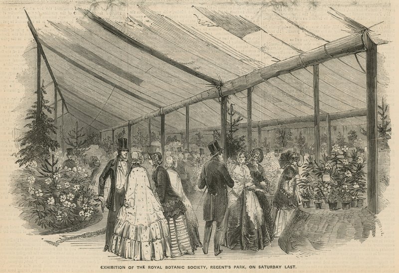 Exposition de la Société royale de botanique - English School