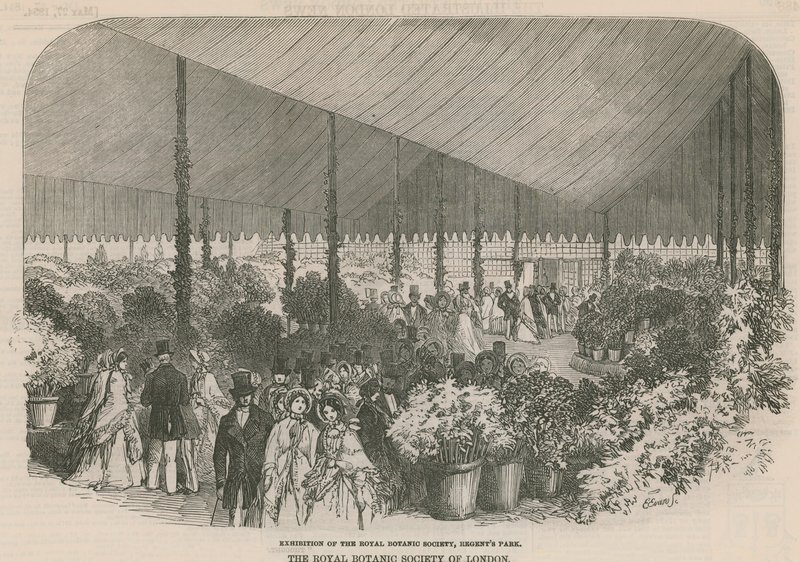 Exposition de la Société royale de botanique - English School