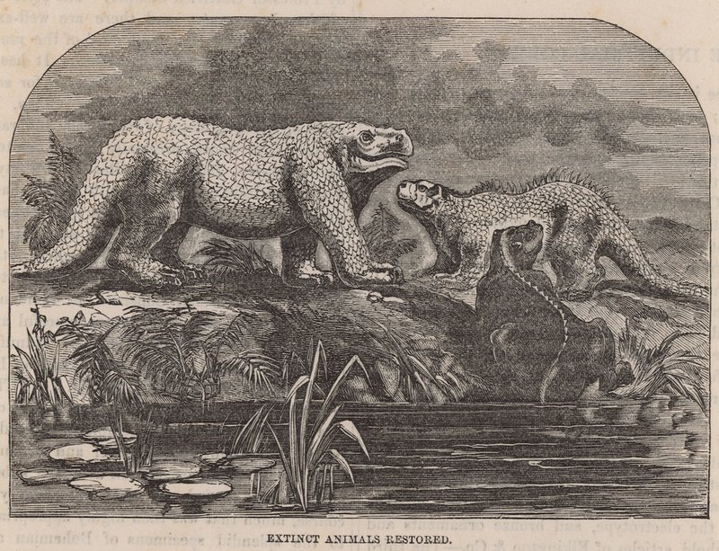 Animaux éteints restaurés et exposés au Crystal Palace - English School