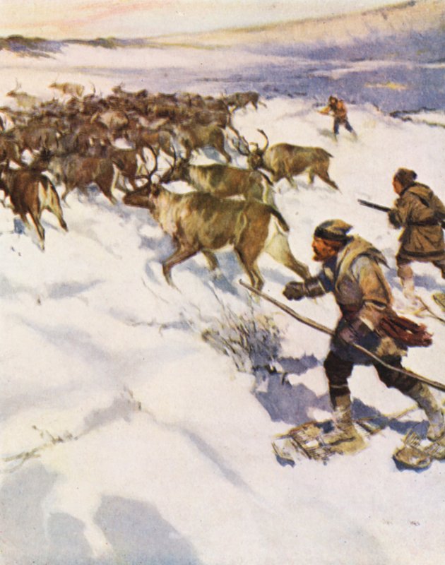 Facteur John McLean rassemblant un troupeau de caribous au Labrador pour la Compagnie de la Baie d