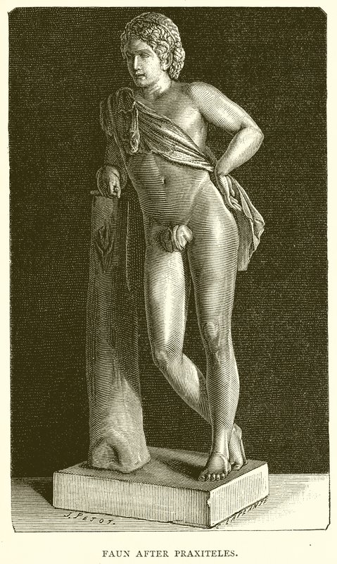 Faune d