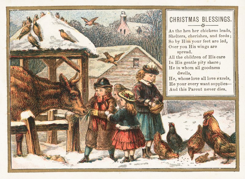 Nourrir les animaux dans la neige, carte de Noël - English School