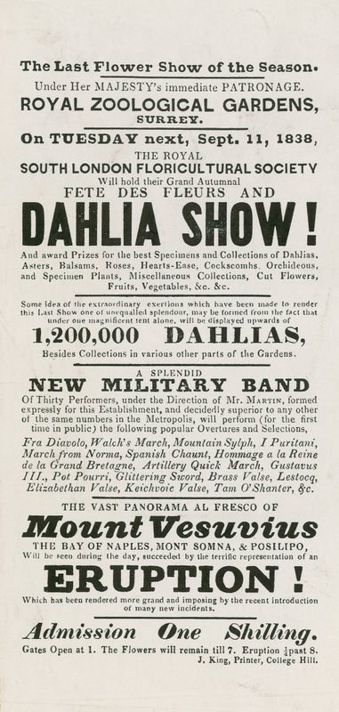 Fête des fleurs et exposition de dahlias - English School