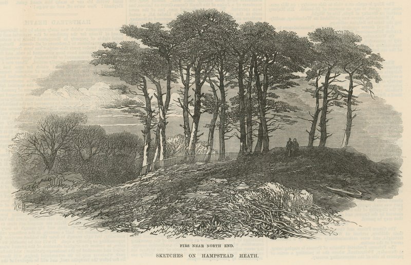 Les sapins près du nord, Hampstead Heath - English School