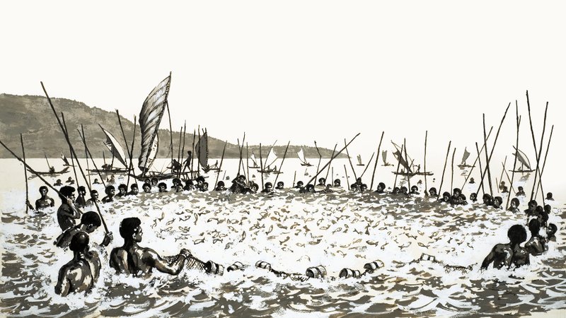 Pêche à la traîne aux Fidji - English School