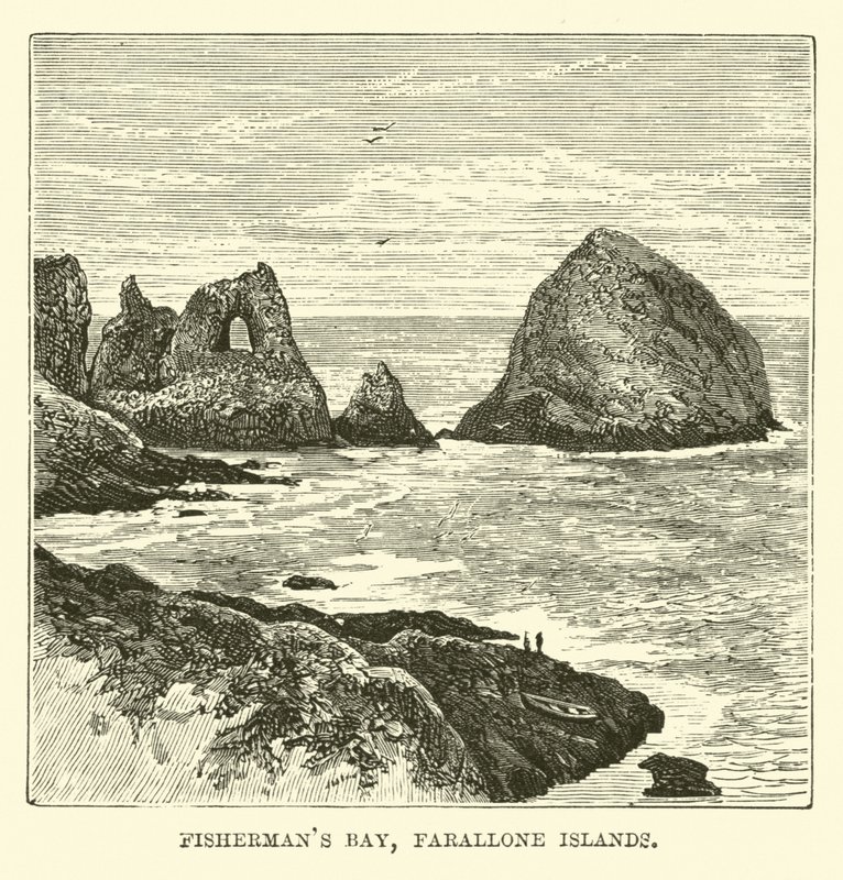 Baie des Pêcheurs, Îles Farallon - English School