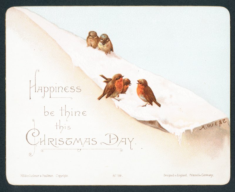 Cinq petits rouges-gorges dans la neige, carte de Noël - English School