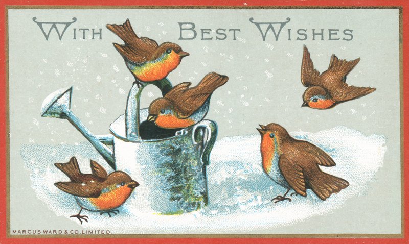 Cinq rouges-gorges et arrosoir, carte de Noël - English School