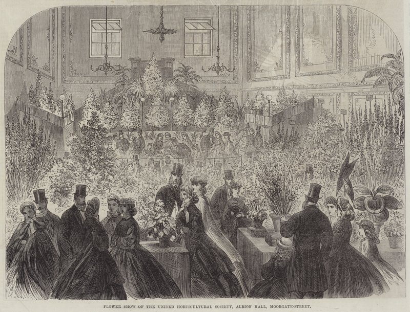 Exposition florale de la Société horticole unie, Albion Hall, Moorgate-Street (gravure) - English School