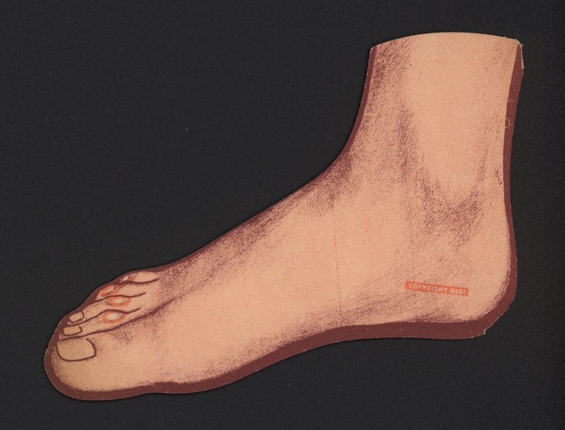 Pied (lithographie couleur) - English School