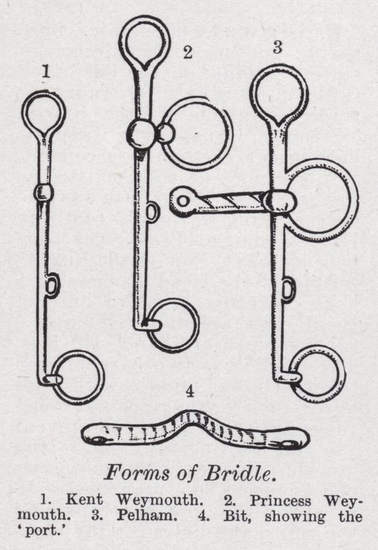 Formes de bride - English School