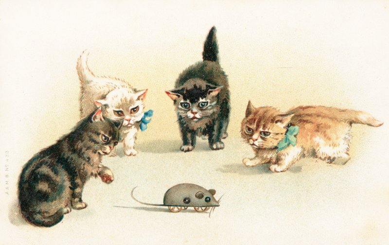 Quatre chatons jouant avec une souris mécanique - English School