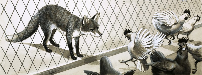 Un renard à l