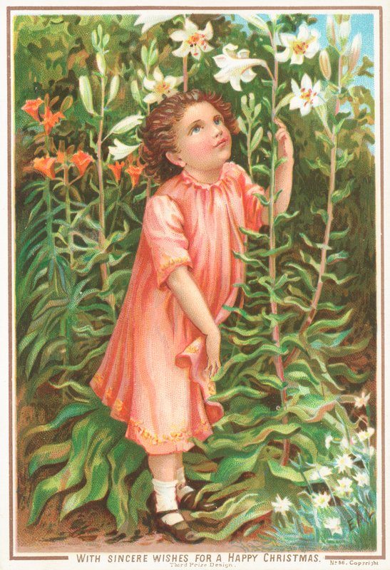 Fille sentant des lys dans le jardin - English School